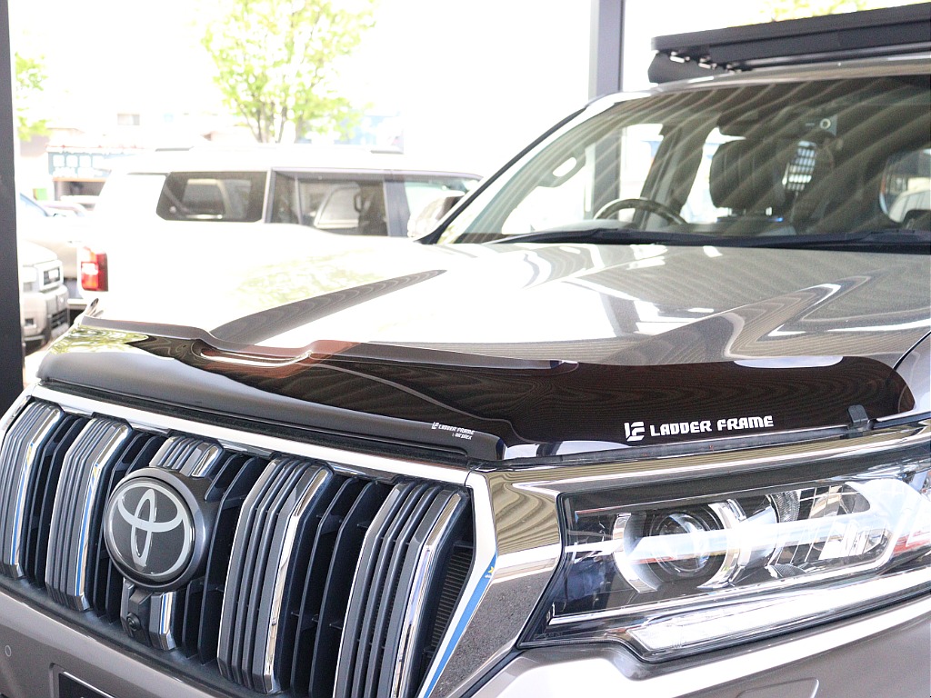 Airplexバグガード！