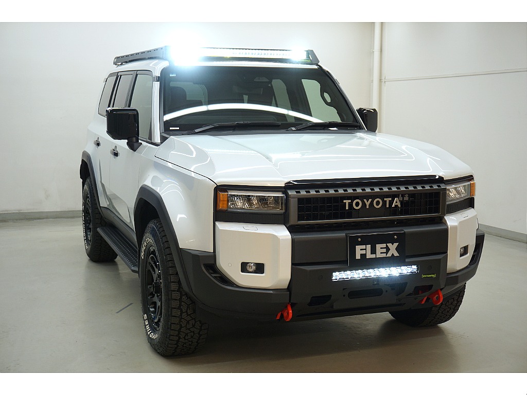 ＦＬＥＸデモカー一斉販売☆ＩＲＯＮＭＡＮ　ＲＡＩＤ ＩＮＳＥＲＴ ＢＡＲ☆ＩＲＯＮＭＡＮ　ＲＡＩＤ ＲＯＯＦ ＲＡＣＫ☆本場オーストラリアで大活躍のＬＥＤライトキット付き☆