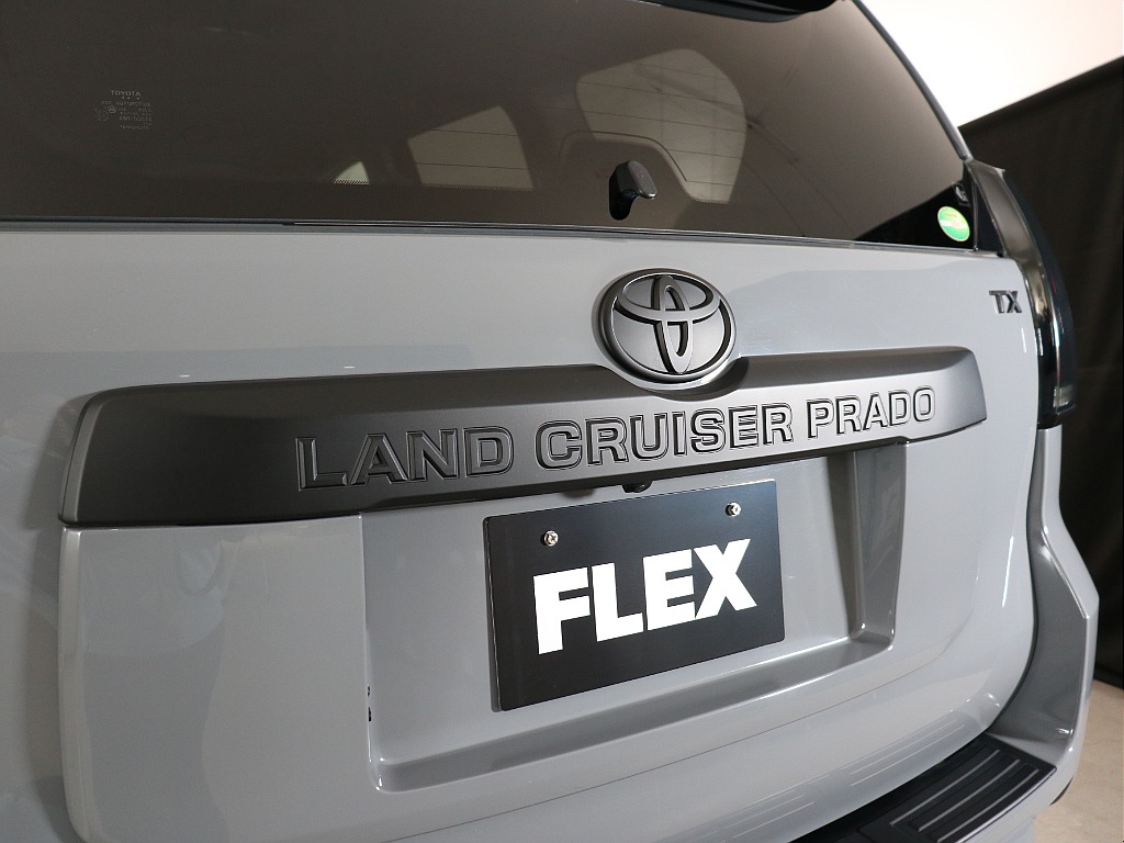 リアガーニッシュ！