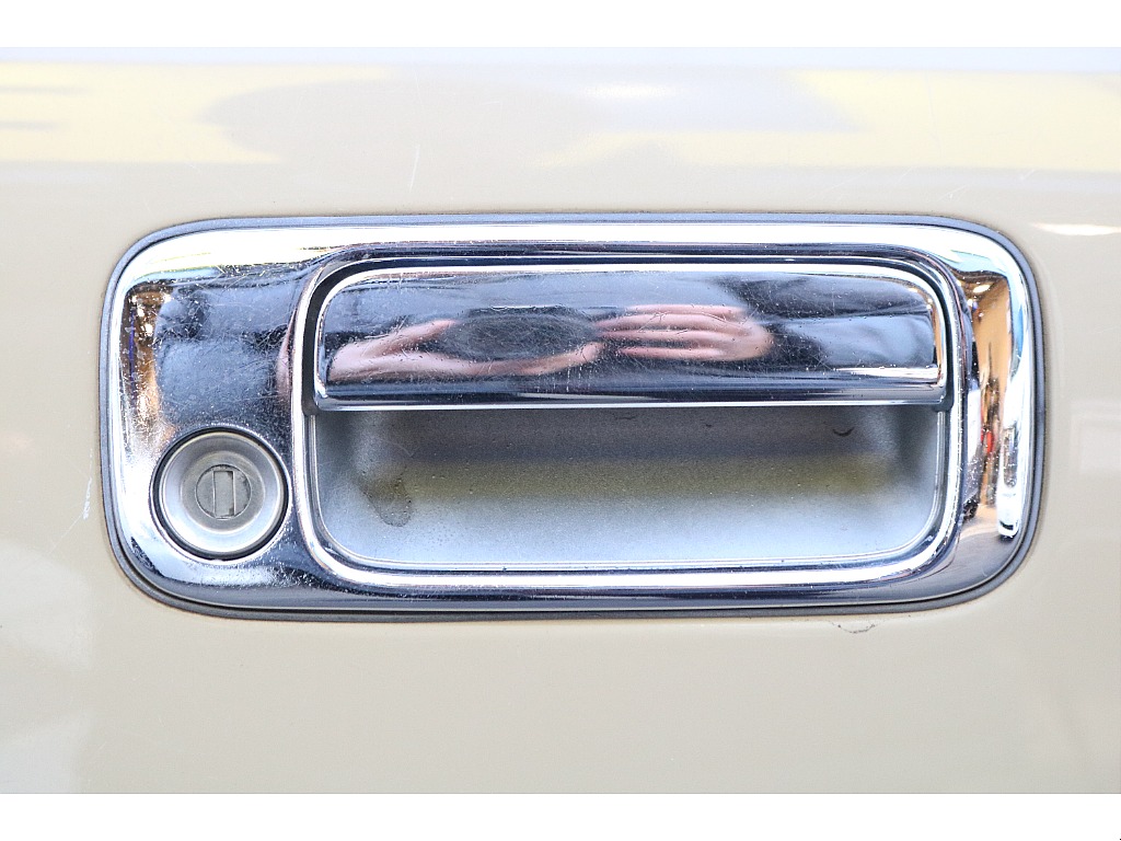 メッキドアミラー！