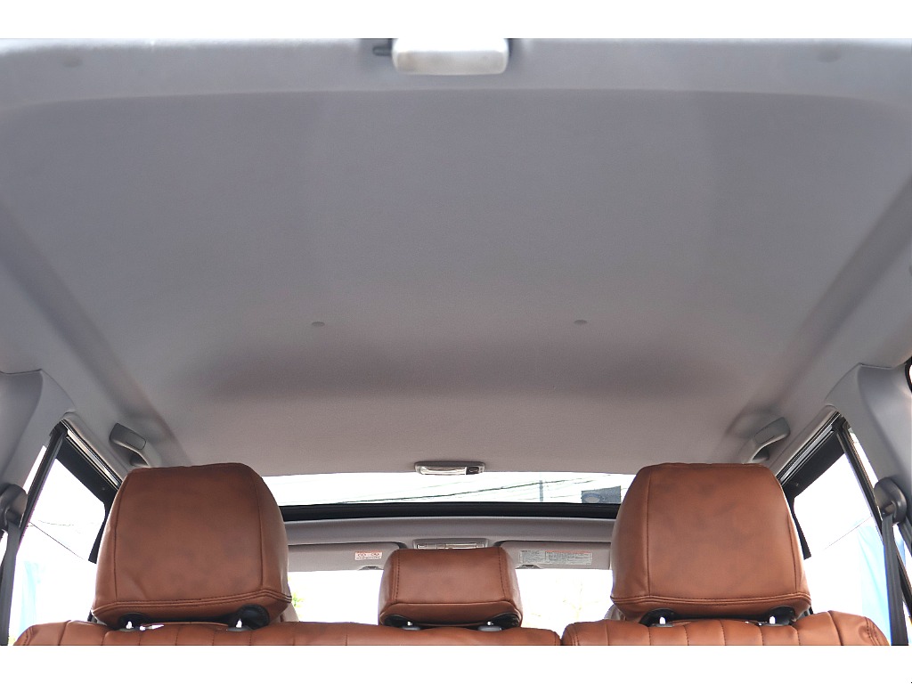 天張りの状態も良好です！このような個体はそうは見つかりません！