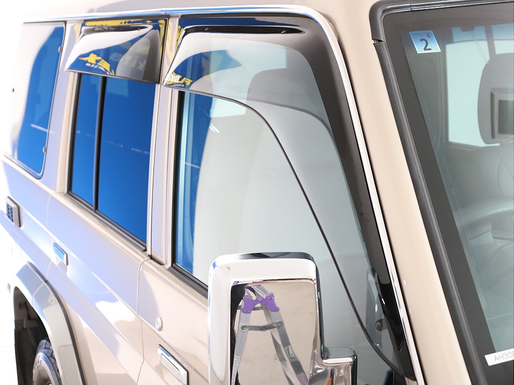 サイドバイザー付きのお車です！