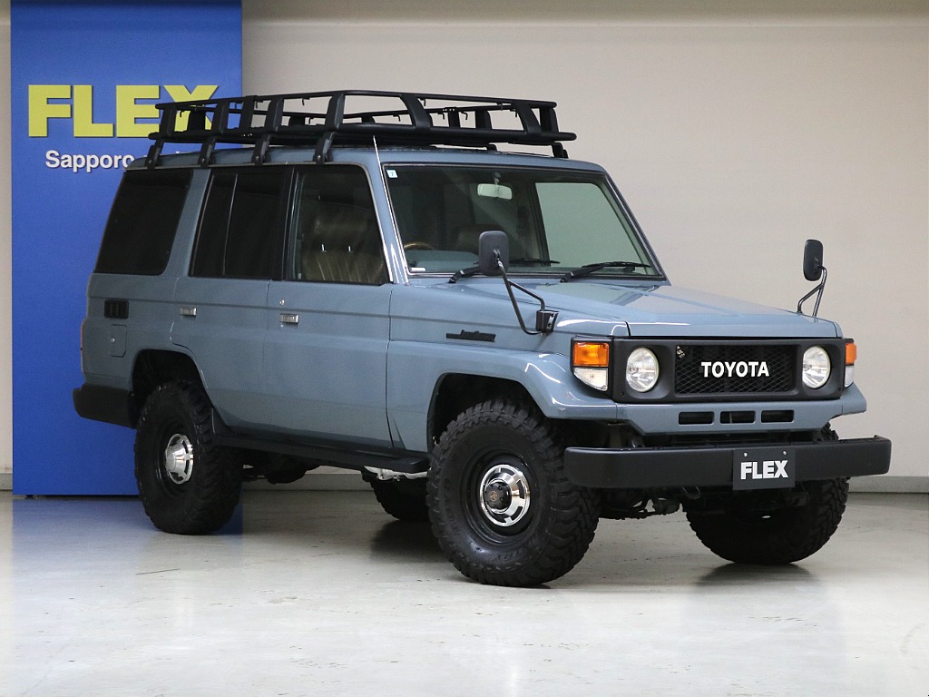 全塗装アンヴィルグレー☆各所ブラックアウト☆ＴＯＹＯＴＡ文字グリル☆フェンダーミラー換装☆ＬＥＤテールランプ☆ルーフキャリア☆