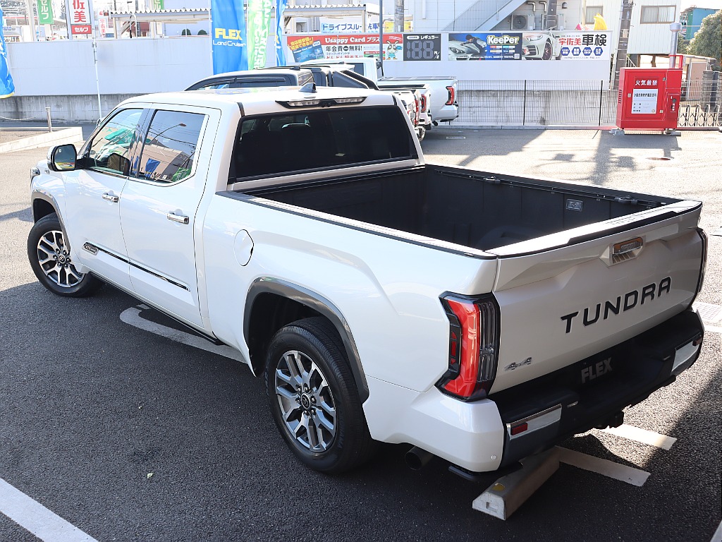 国内では類を見ないド迫力のボディ！