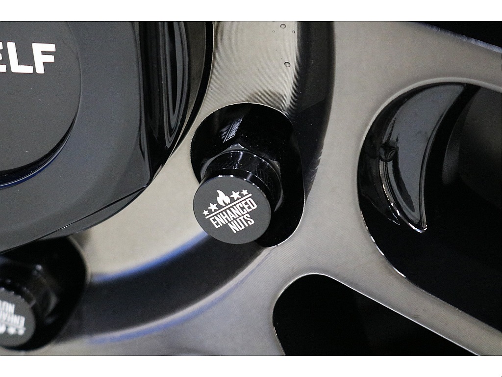 新品FLEX ORIGINAL ENHANCED NUTS BK☆