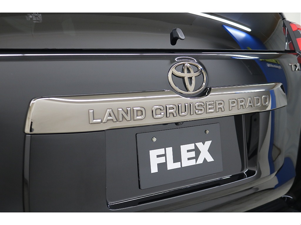 バックドアガーニッシュ（漆黒メッキ）☆