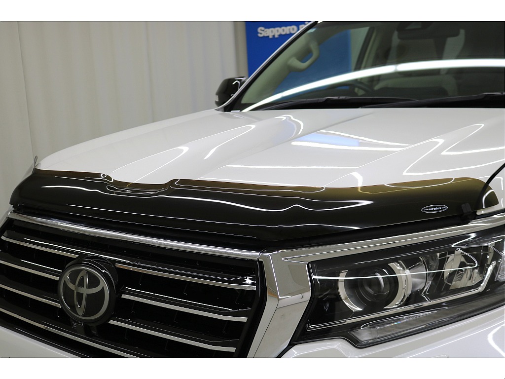 airplexバグガード☆