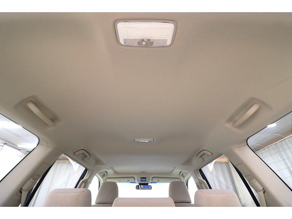 天張りになります☆