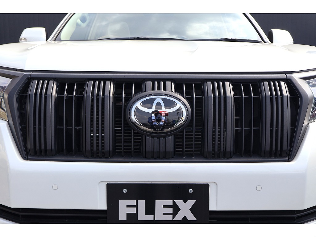 特別仕様ブラックアウトグリル