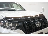 各所ブラックアウト☆新品バグガード☆