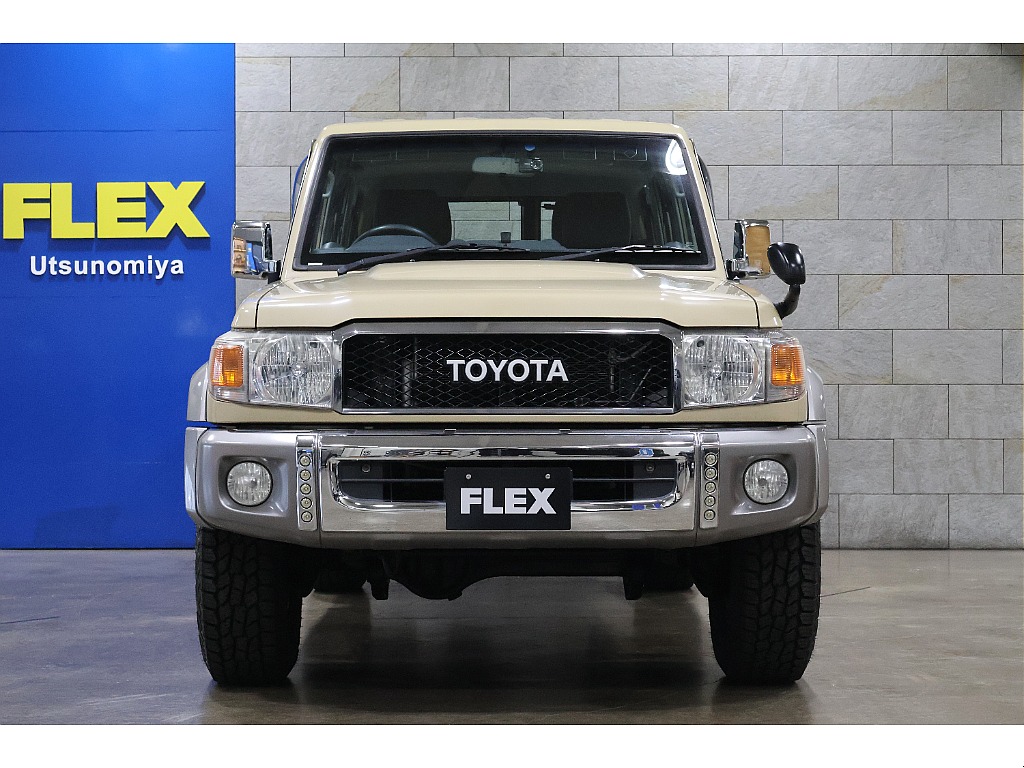 うっすら現行にも見えるフェイスは迫力があります！