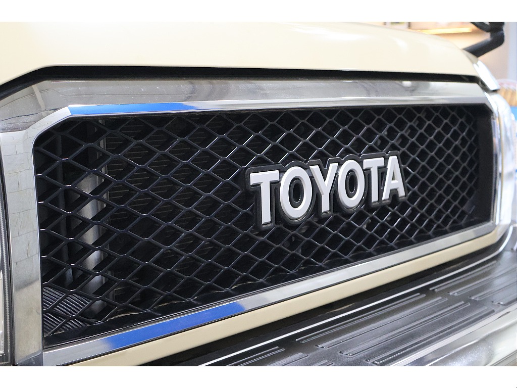 ディーラーオプション　TOYOTAロゴグリル