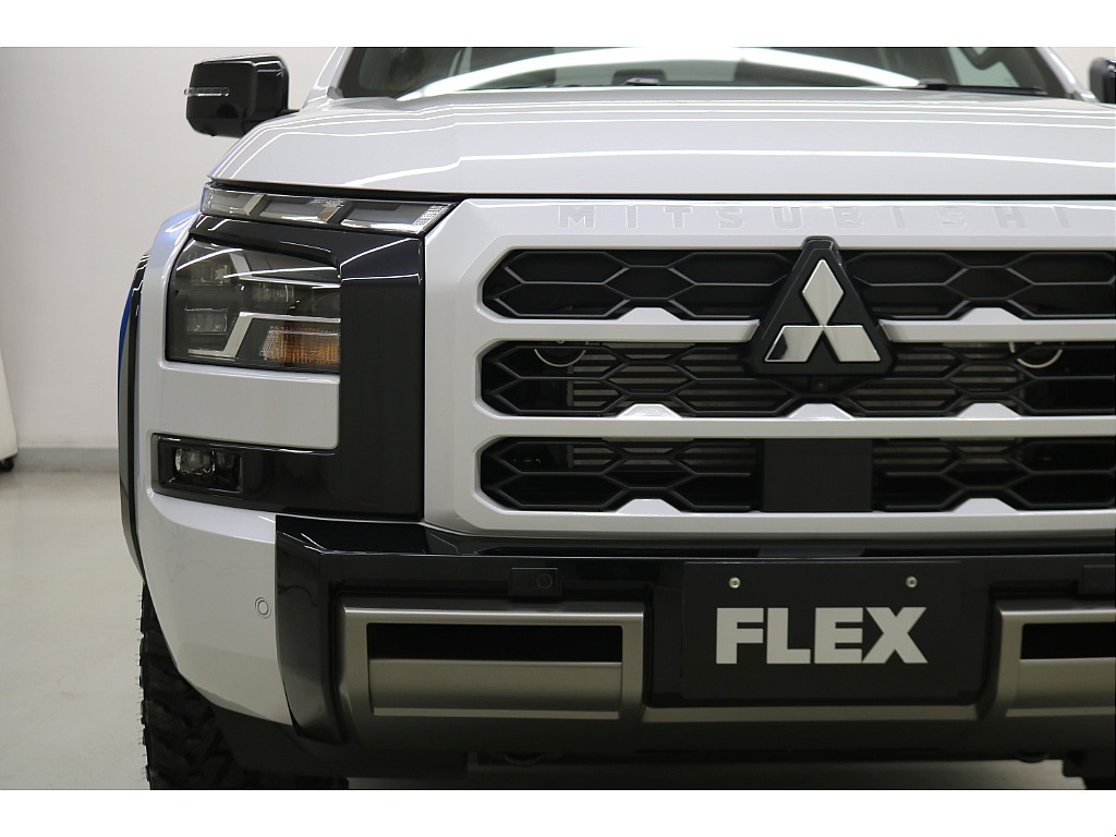 専用バンパーガーニッシュ☆専用カラードフロントグリル☆専用フロントアンダーガーニッシュ☆専用ホイールアーチモール☆ＬＥＤヘッドランプ＆フォグランプ☆ＬＥＤデイタイムランニングランプ（ポジション一体型）