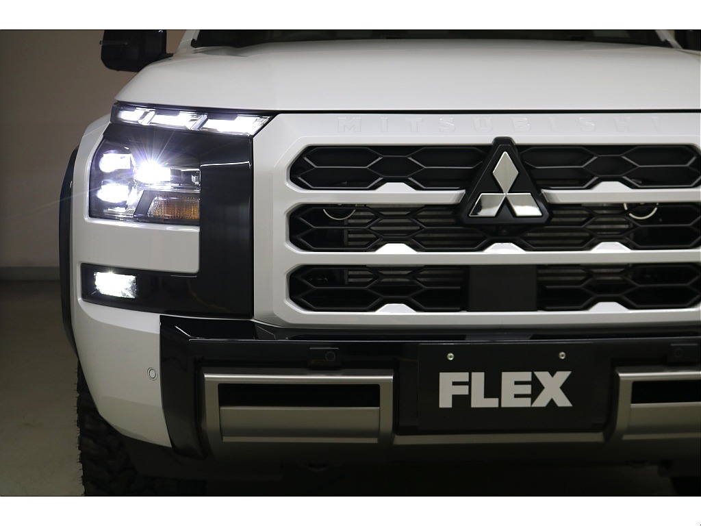 専用バンパーガーニッシュ☆専用カラードフロントグリル☆専用フロントアンダーガーニッシュ☆専用ホイールアーチモール☆ＬＥＤヘッドランプ＆フォグランプ☆ＬＥＤデイタイムランニングランプ（ポジション一体型）