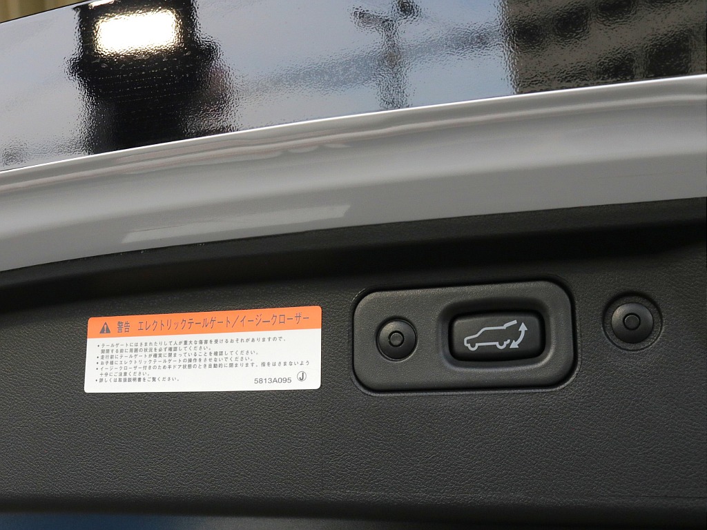 リアイージークローザー