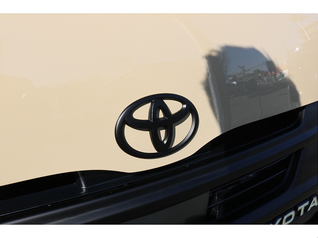 フロントエンブレムMB塗装！