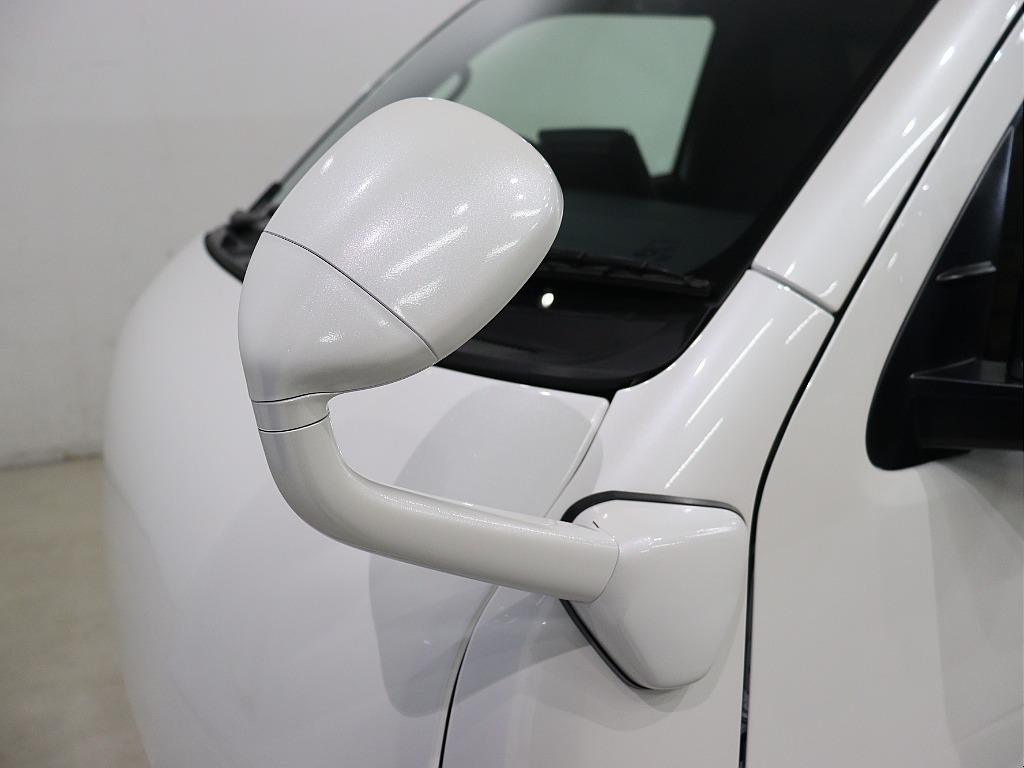 ガッツミラーボディ同色塗装