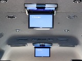 アルパインフィリップダウンモニター