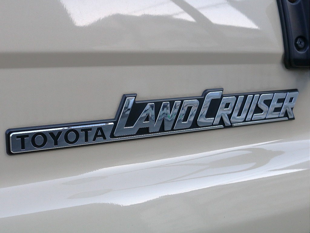 サイドエンブレムも状態良いです！