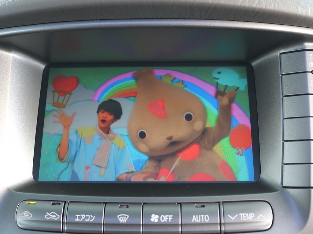 トヨタ ランドクルーザーシグナス(19枚目)