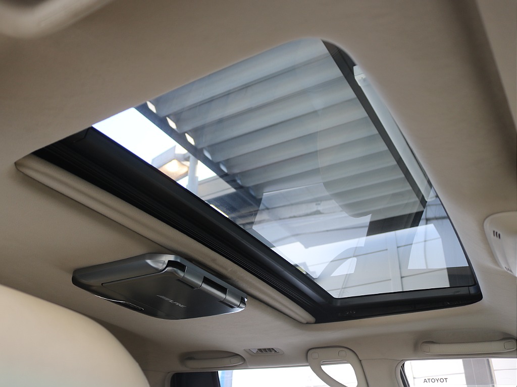 トヨタ ランドクルーザーシグナス(34枚目)