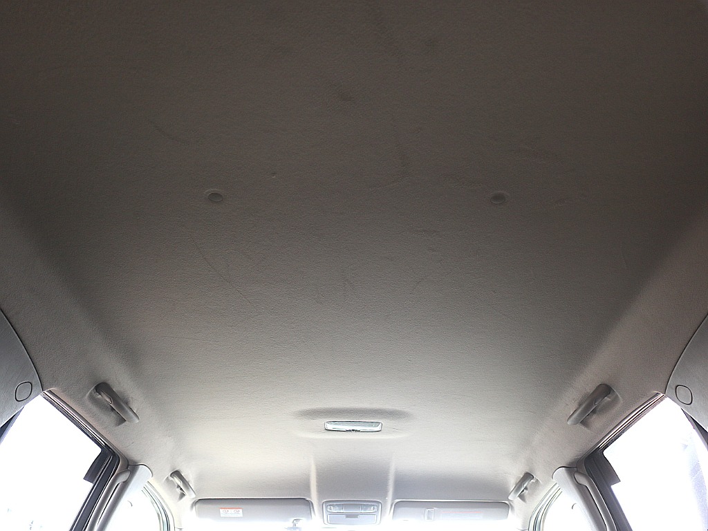 天張りもコンディション良好です！