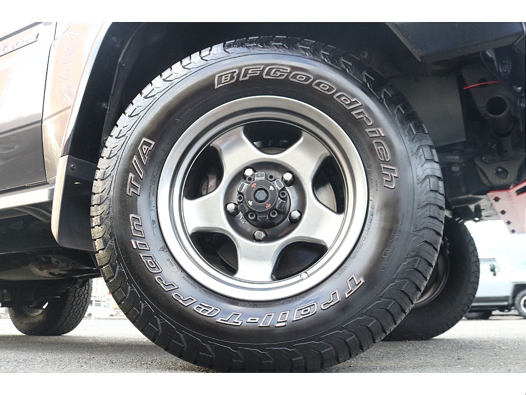 BFグッドリッチトレイルテレーン！