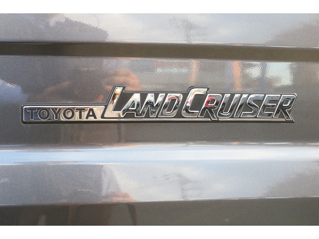 エンブレムの状態も良好です！