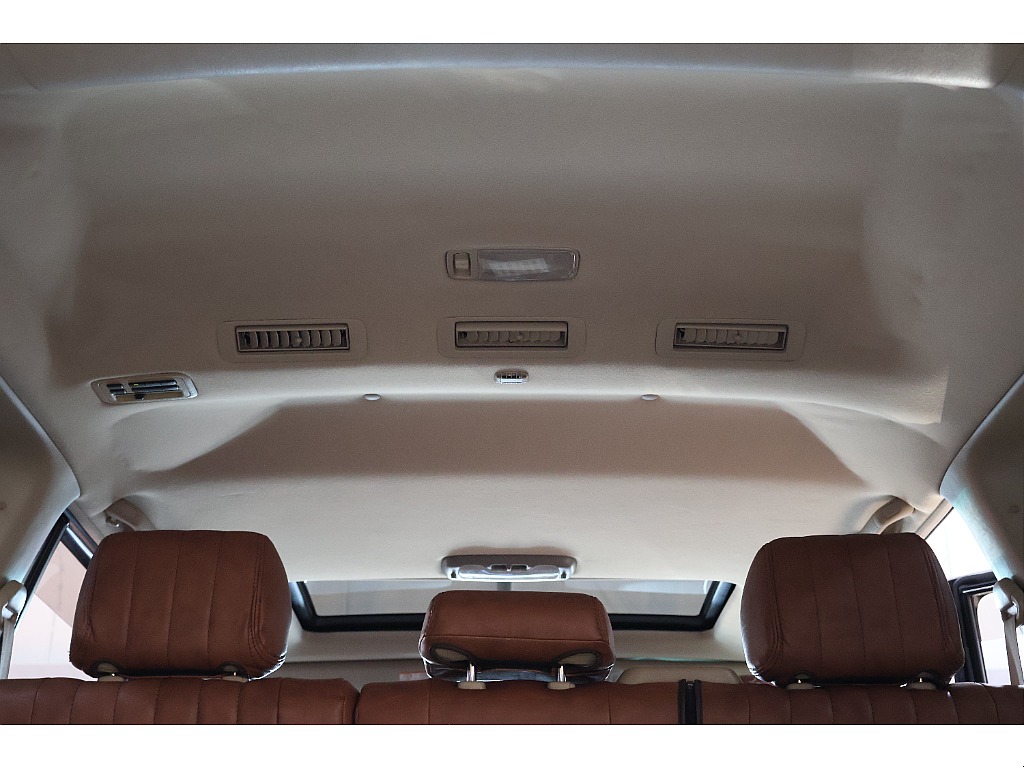 天張りも良コンディション。