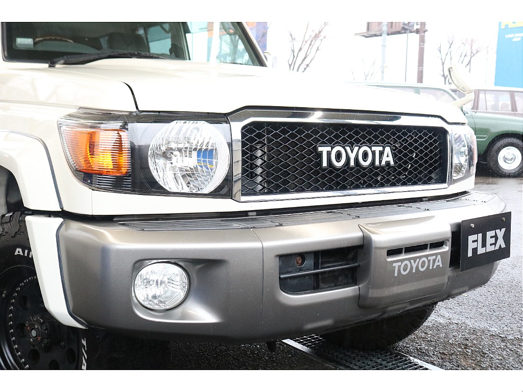 オプション装備多数のフロントフェイス！