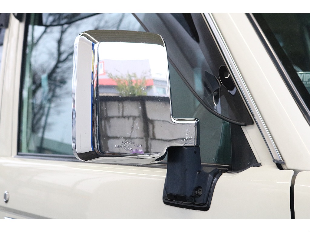 メッキドアミラー！