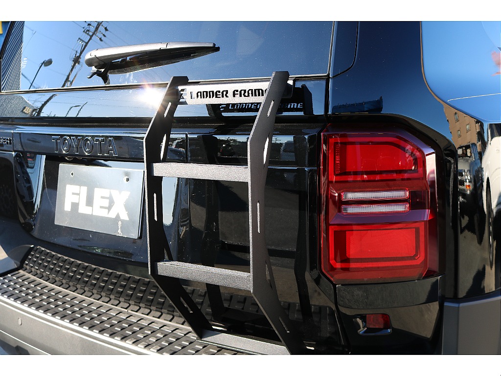 ハーフリアラダー