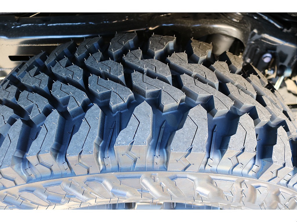 トヨタ ランドクルーザー250(29枚目)