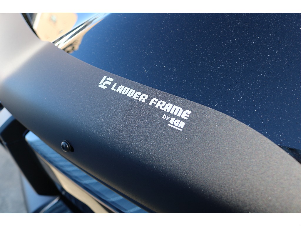 トヨタ ランドクルーザー250(39枚目)