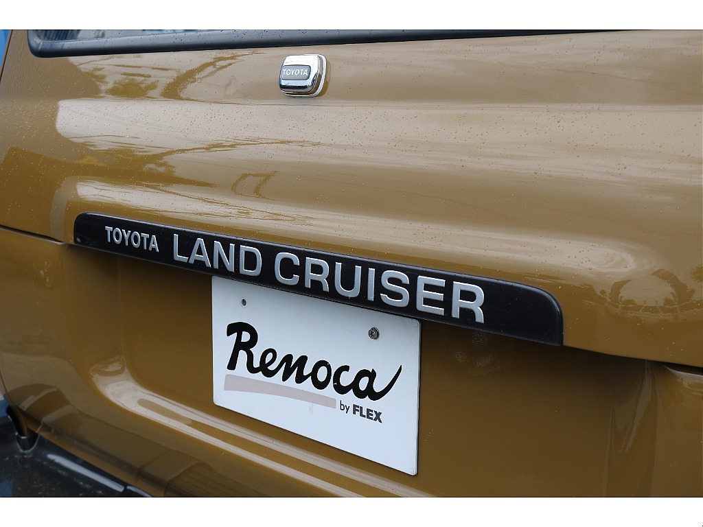 リアガーニッシュ