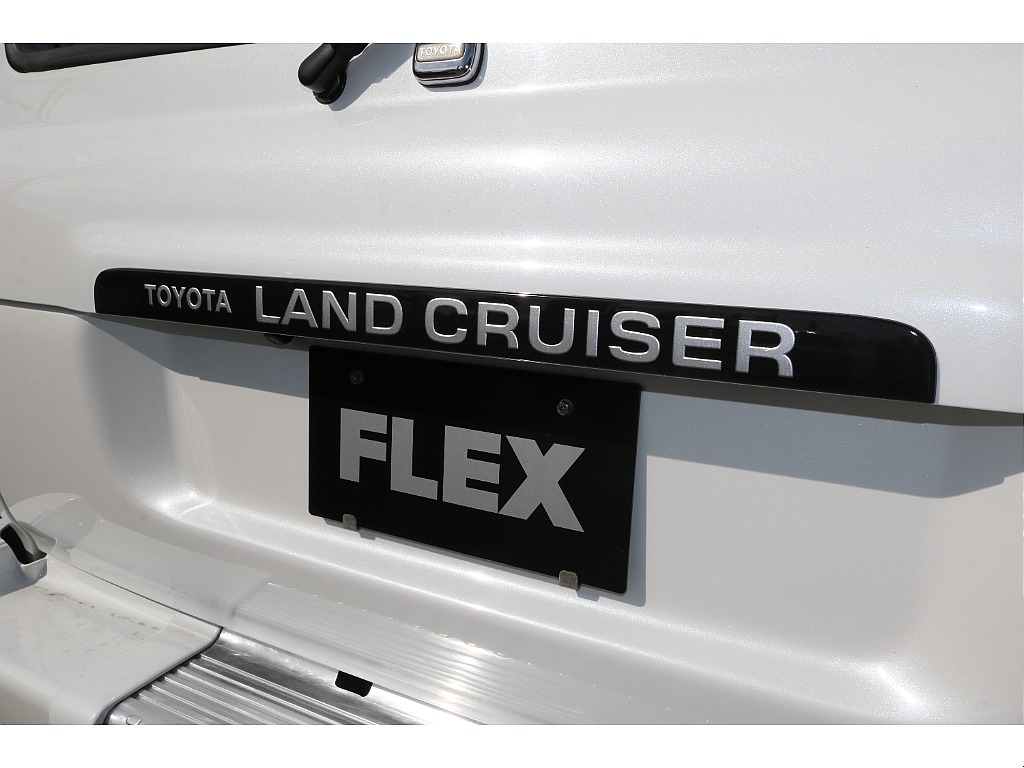 トヨタ ランドクルーザー80(49枚目)