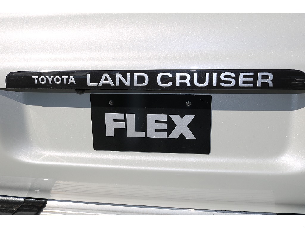 リアガーニッシュ