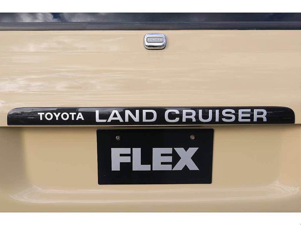 トヨタ ランドクルーザー80(60枚目)