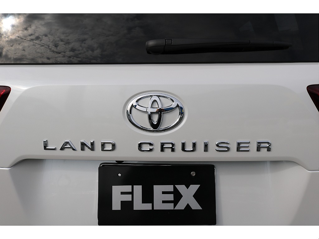 リアガーニッシュ