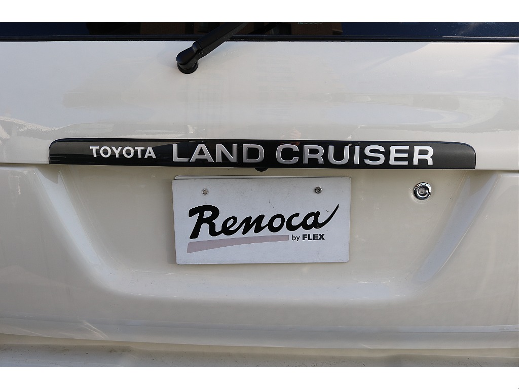 リアガーニッシュ