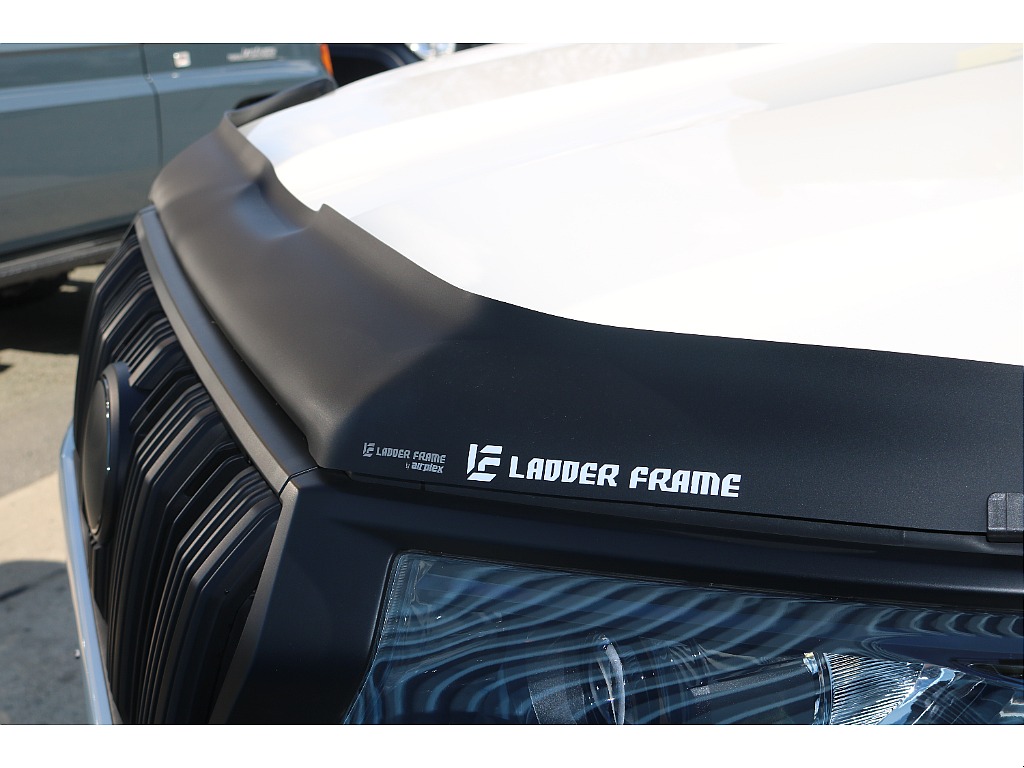 ラダーフレーム製バグガード