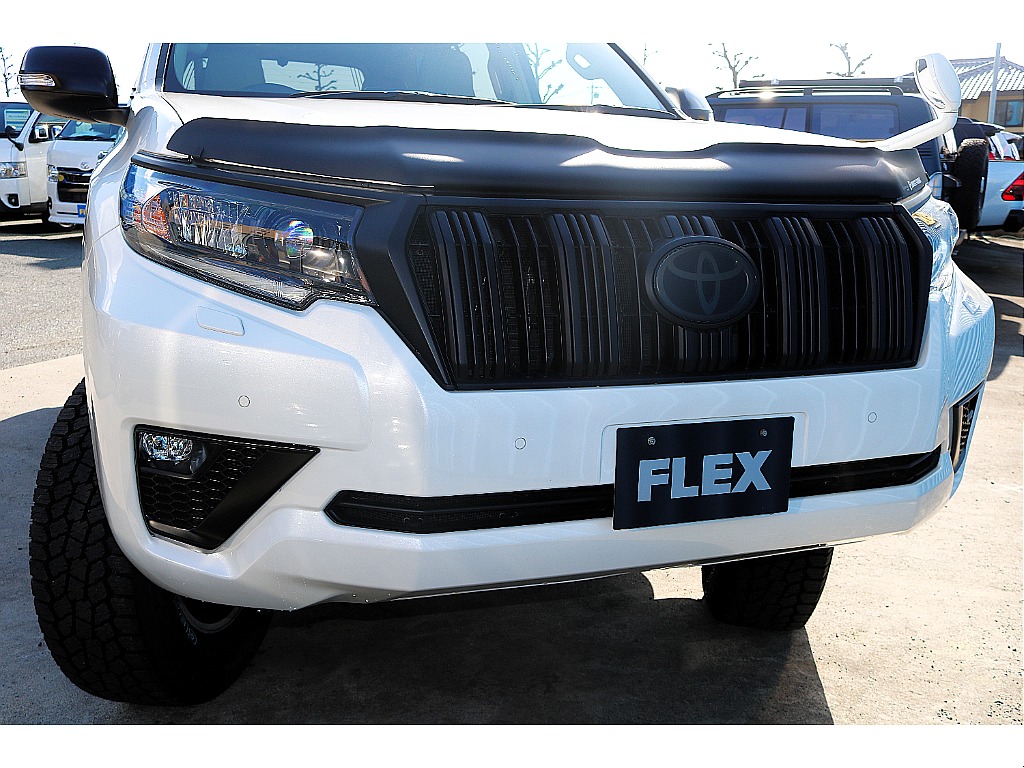 トヨタ ランドクルーザープラド(10枚目)