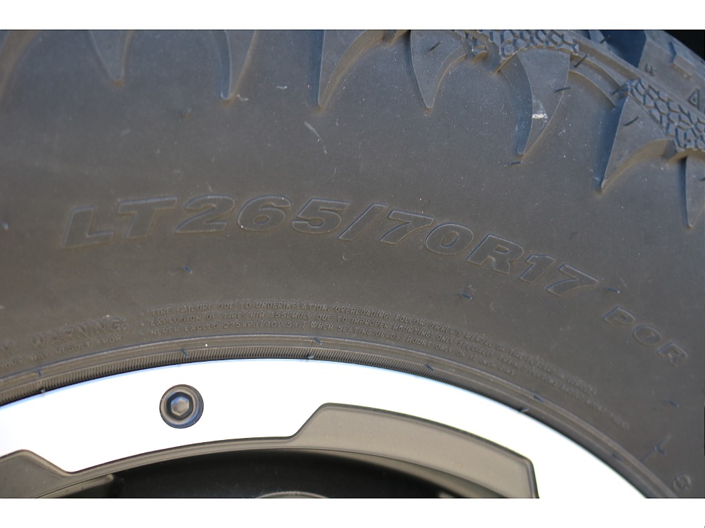 トヨタ FJクルーザー(31枚目)