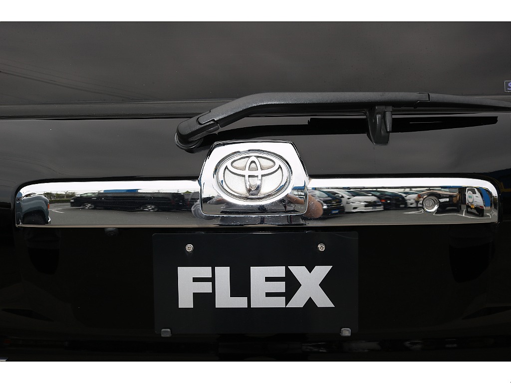 リアガーニッシュ