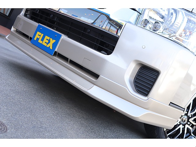 ☆DelfinoLineフロントスポイラー☆