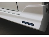 ＦＬＥＸ　DelfinoLineサイドステップ♪　フロントスポイラーから繋がるように美しい仕上がり♪