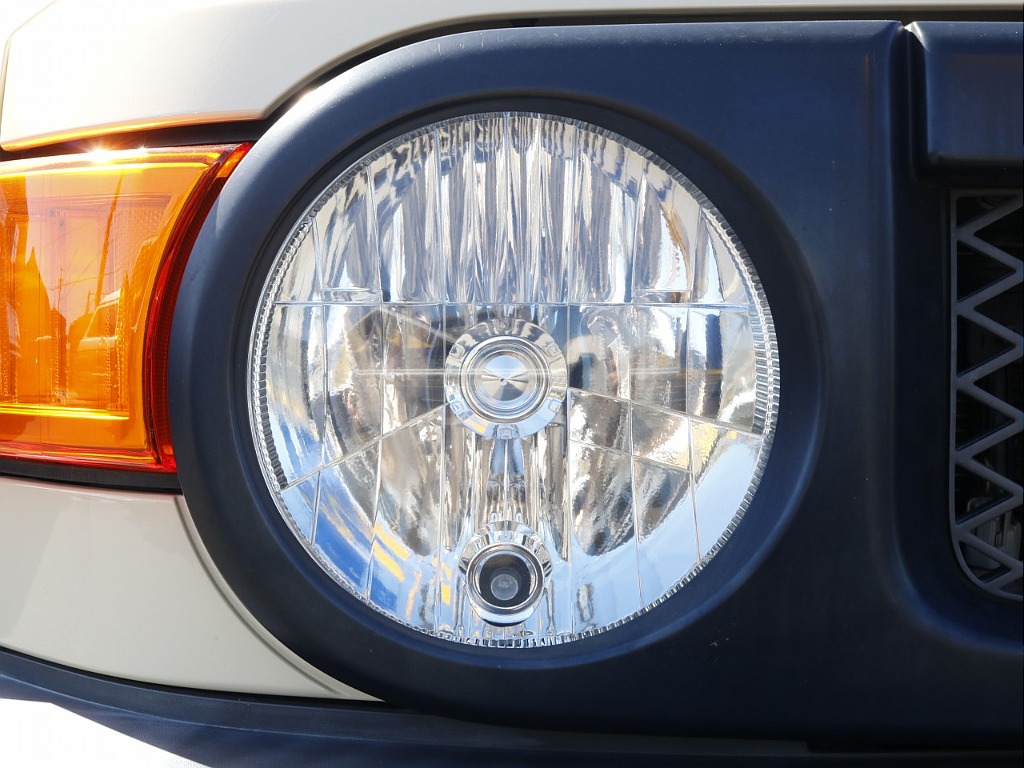 かわいい丸目ちゃんです！！