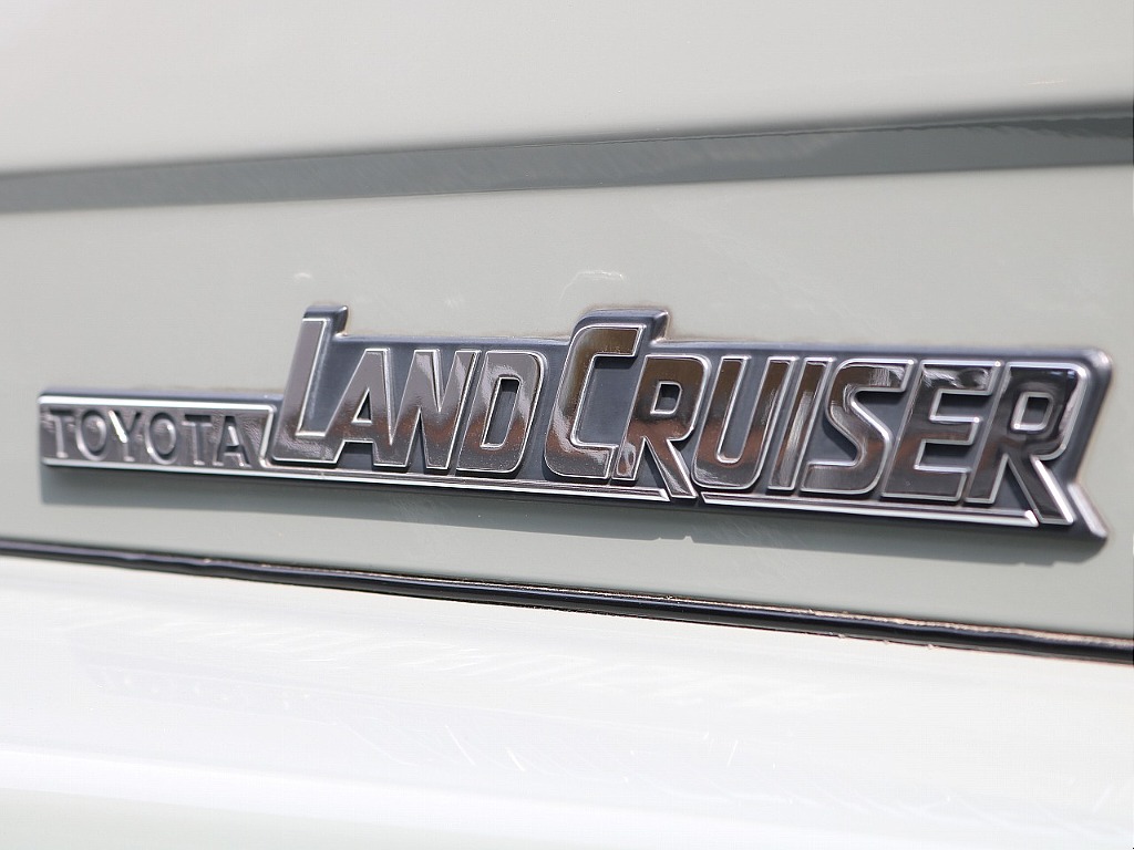 エンブレムの状態も良好です！