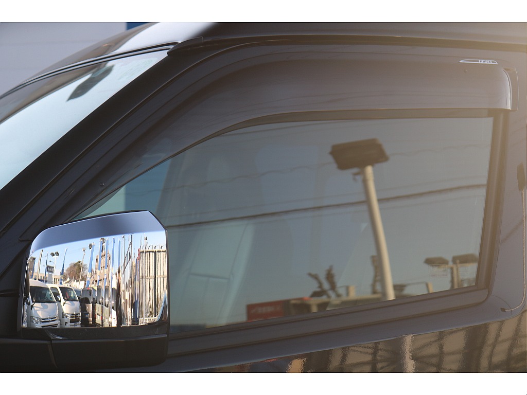 ドアバイザー付き♪