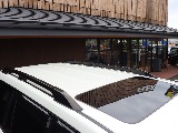 ブラックルーフレール装備済み！
